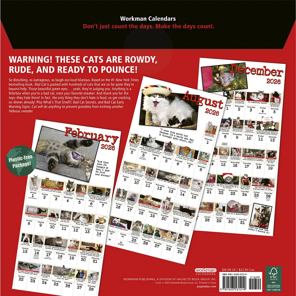 Bad Cat 2026 Wall Calendar - Online Exclusive