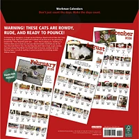Bad Cat 2026 Wall Calendar - Online Exclusive