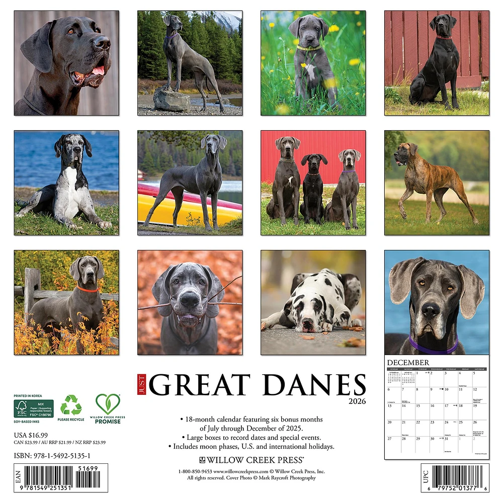 Just Great Danes 2026 Wall Calendar