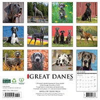 Just Great Danes 2026 Wall Calendar