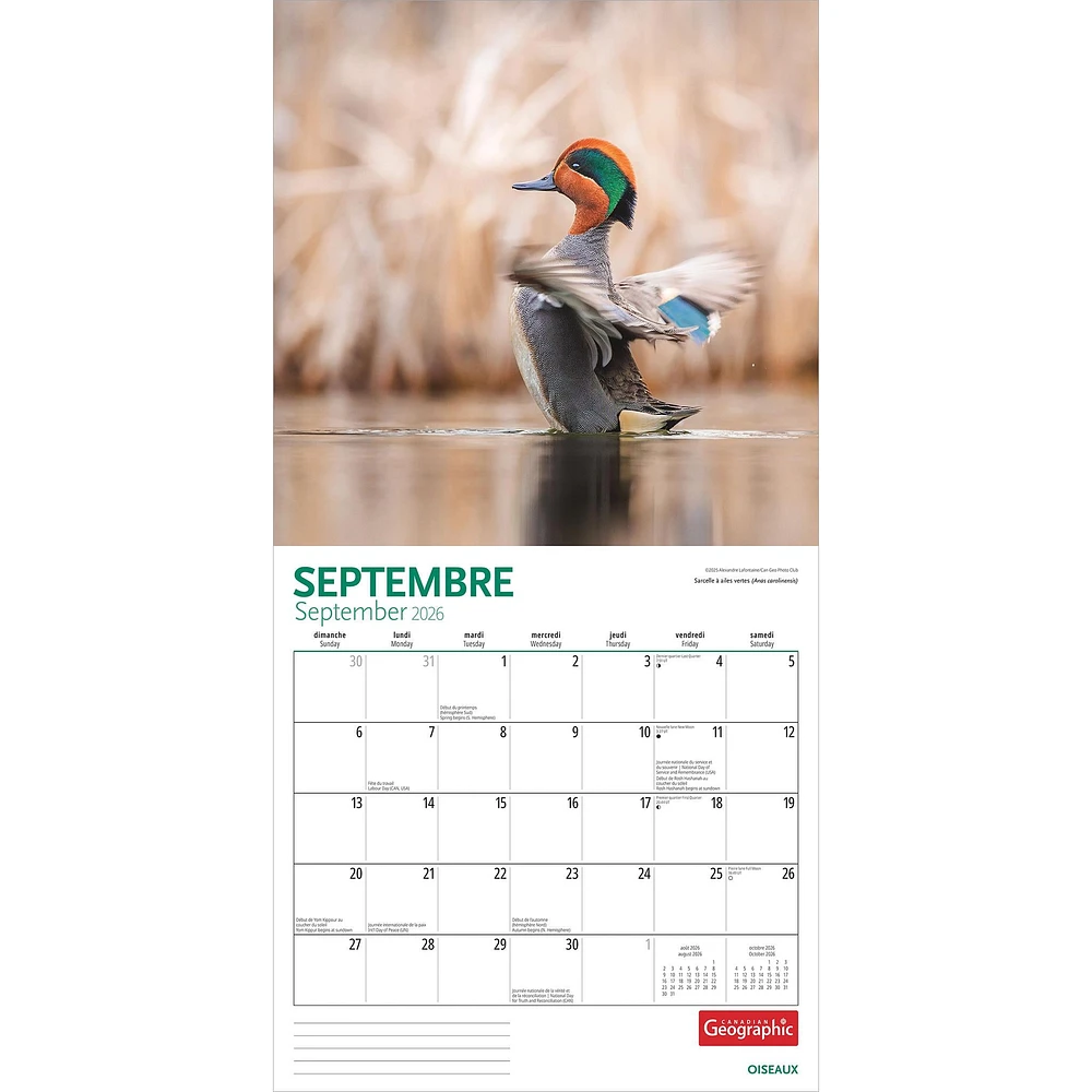 Canadian Geographic Oiseaux 2026 Wall Calendar (French)