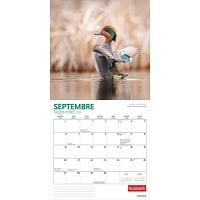 Canadian Geographic Oiseaux 2026 Wall Calendar (French)