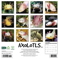 Axolotls 2026 Wall Calendar