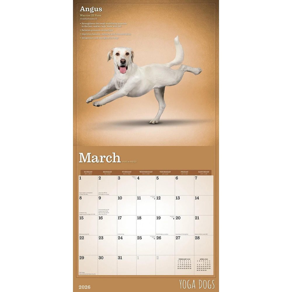 Yoga Dogs 2026 Wall Calendar