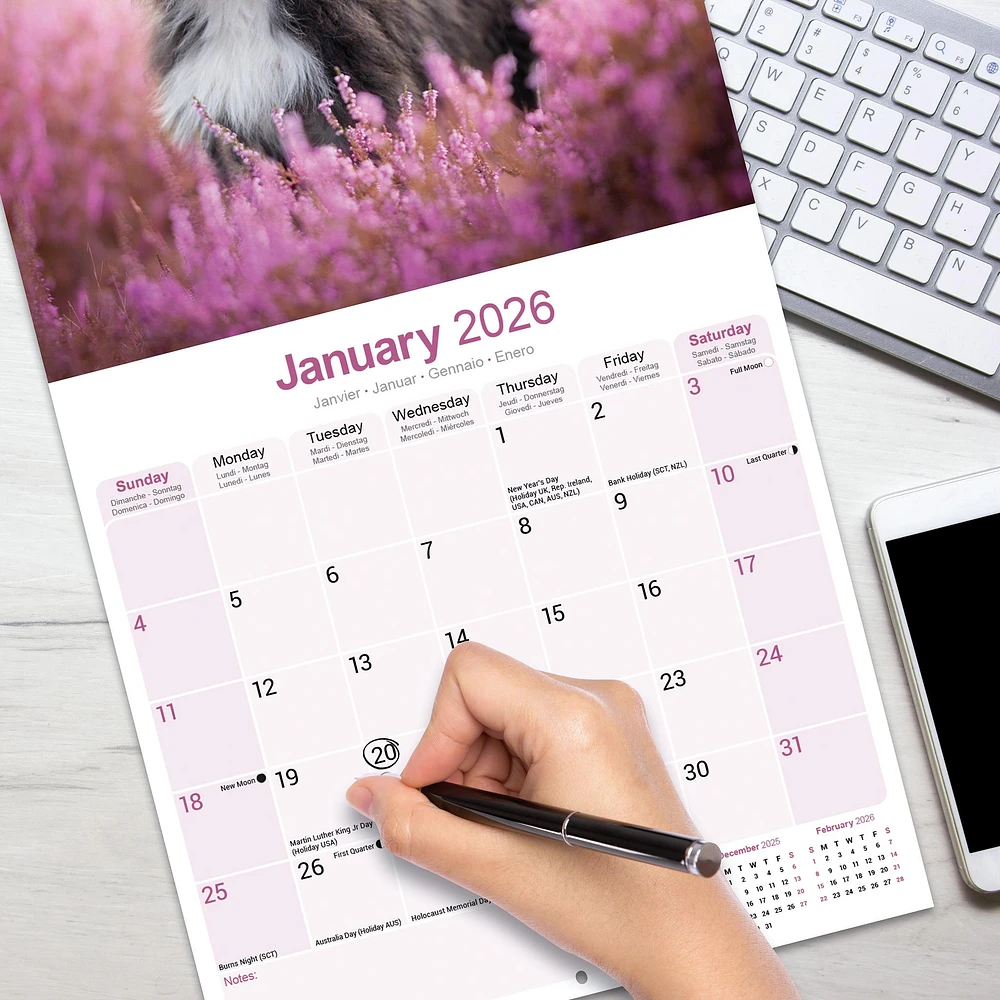 Bearded Collie Wall  2026 Calendar