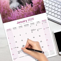 Bearded Collie Wall  2026 Calendar