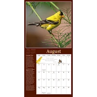 Audubon Birds In The Garden 2026 Wall Calendar