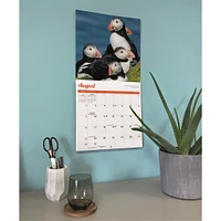 Puffins 2026 Wall Calendar