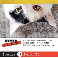 Bad Cat 2026 Box Calendar