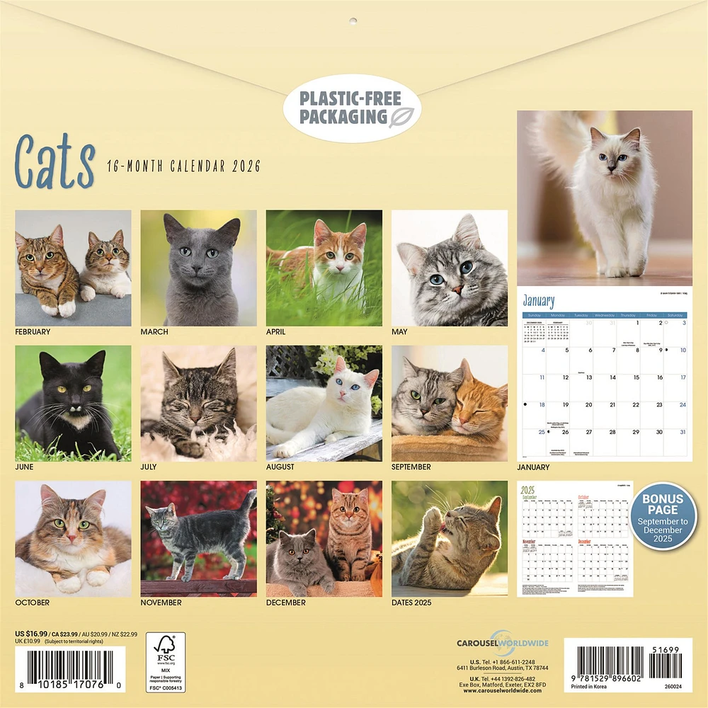Cats Wall  2026 Calendar