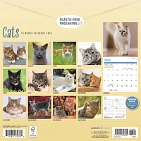 Cats Wall  2026 Calendar