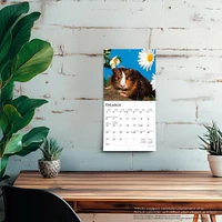 Guinea Pigs 2026 Mini Calendar