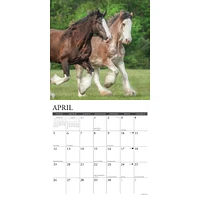 Clydesdales 2026 Wall Calendar