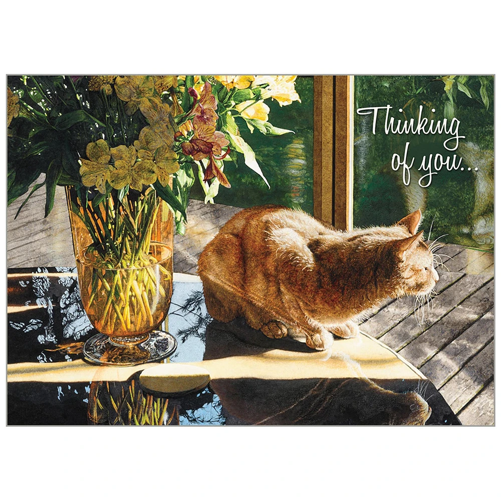 Cats We Love 2026 Deluxe Special Edition Wall Calendar with Cards