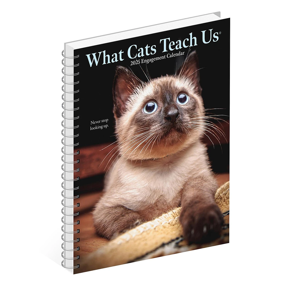 What Cats Teach Us Engagement 2025 Calendar