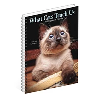 What Cats Teach Us Engagement 2025 Calendar