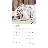 White Tigers 2026 Wall Calendar
