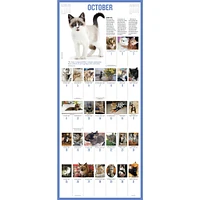 Kittens 365 2026 Wall Calendar