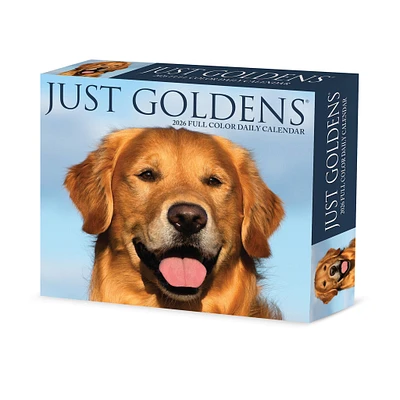 Just Goldens 2026 Box Calendar