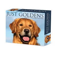 Just Goldens 2026 Box Calendar