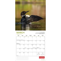Canadian Geographic Loon 2026 Wall Calendar - Online Exclusive