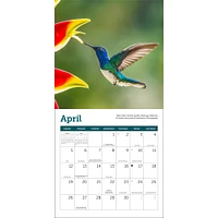 Hummingbirds 2026 Mini Calendar
