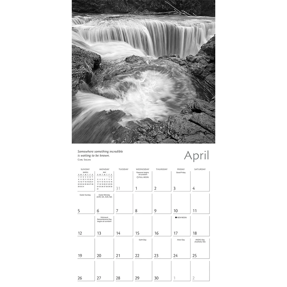 Zen of Nature 2026 Wall Calendar - Online Exclusive