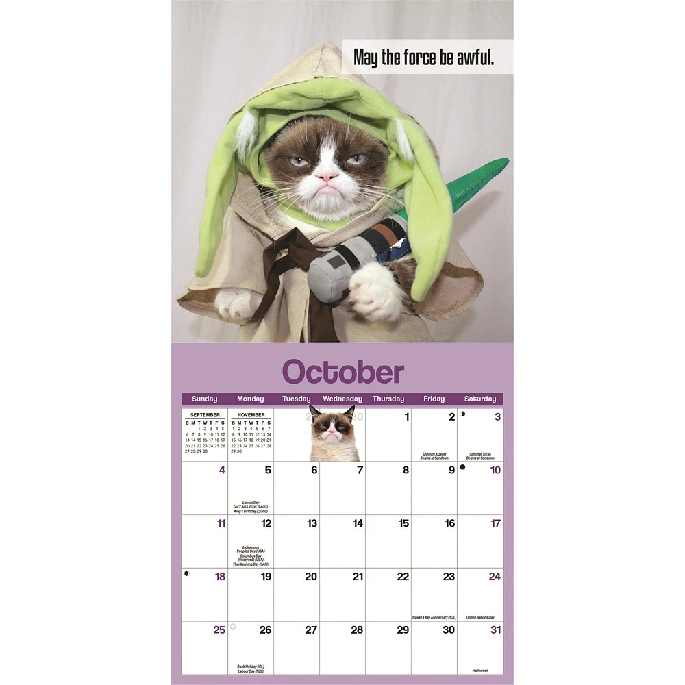 Grumpy Cat 2026 Mini Calendar
