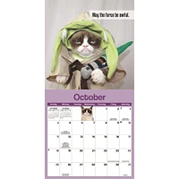 Grumpy Cat 2026 Mini Calendar