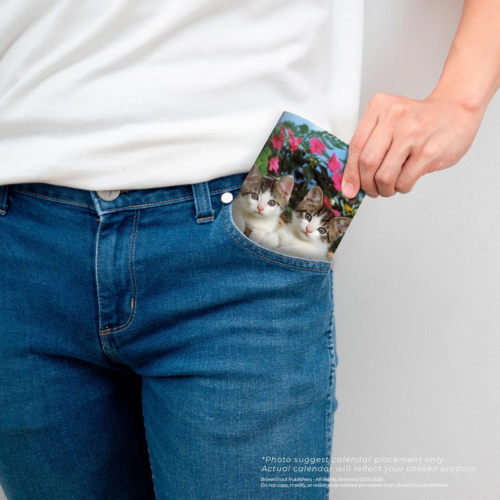 Kitten Cuddles 2026 2 Yr Pocket Planner Calendar