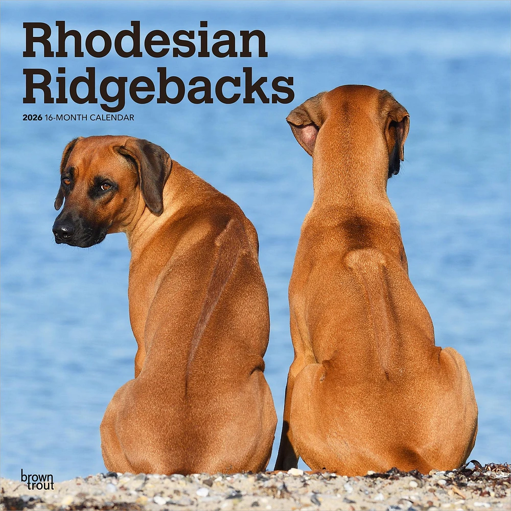 Rhodesian Ridgebacks 2026 Wall Calendar