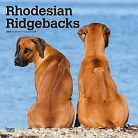 Rhodesian Ridgebacks 2026 Wall Calendar