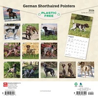 German Shorthaired Pointers 2026 Wall Calendar