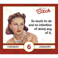 Daily Bitch 2026 Box Calendar