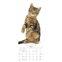 Cats 2026 Poster Calendar