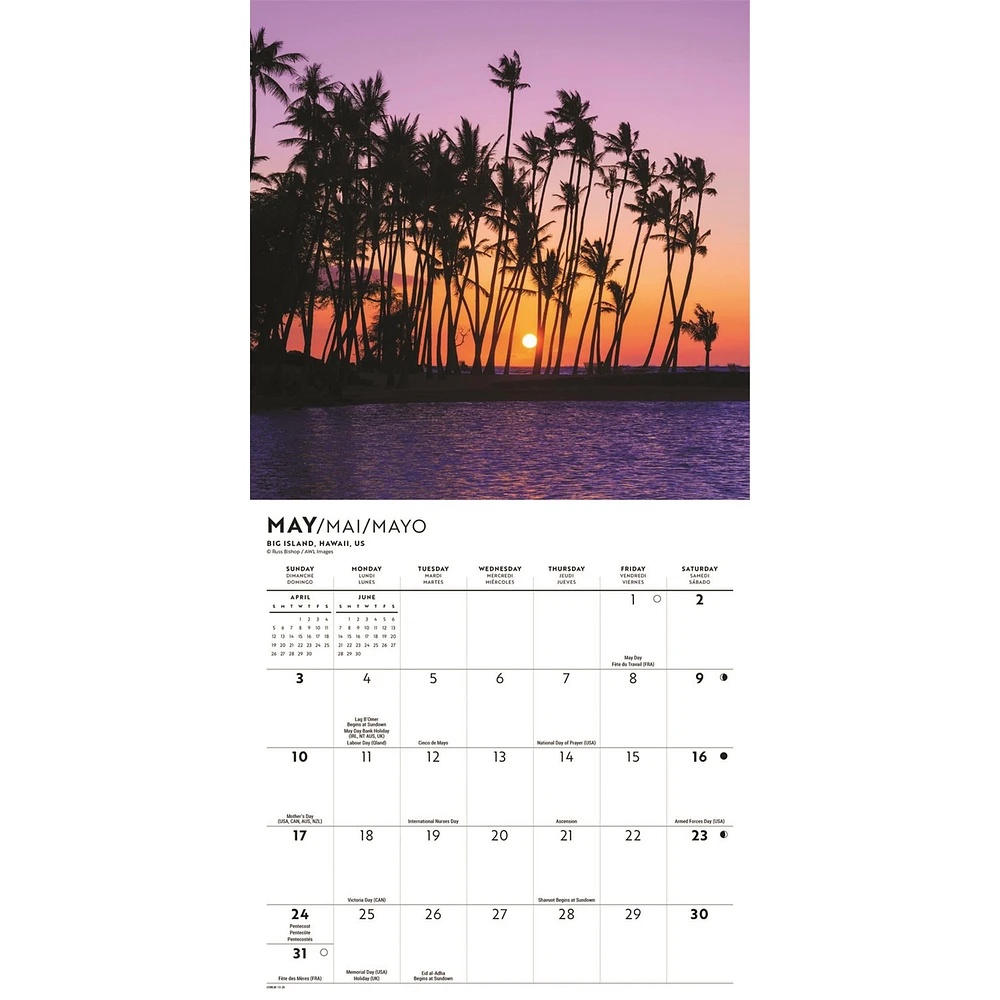 Island Paradise 2026 Mini Calendar