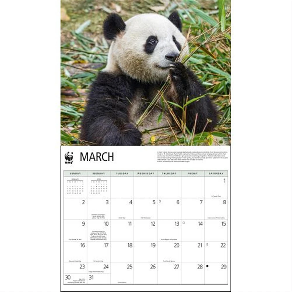 Giant Pandas World Wildlife Fund Wall 2025 Calendar