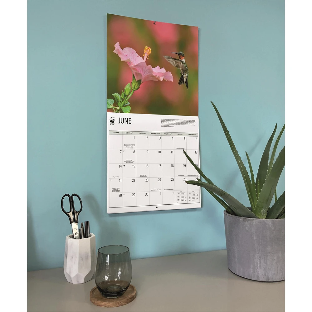 World Wildlife Fund Hummingbirds 2026 Wall Calendar