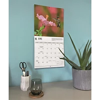 World Wildlife Fund Hummingbirds 2026 Wall Calendar