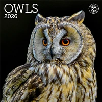 Owls 2026 Mini Calendar