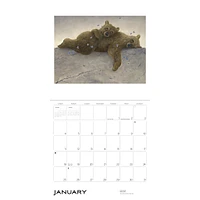 Spirit The Paintings Of Robert Bissell 2026 Wall Calendar