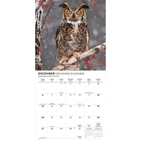 Owls 2026 Wall Calendar
