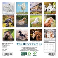 What Horses Teach Us Mini 2025 Calendar