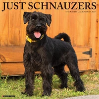 Just Schnauzers Wall 2025 Calendar