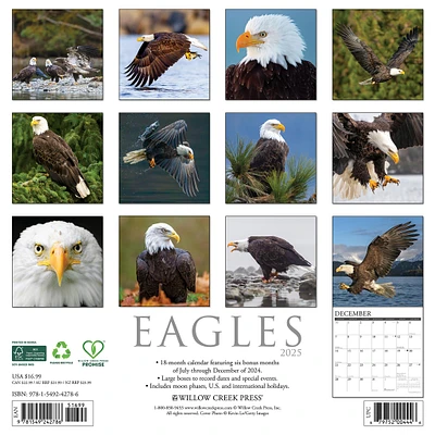 Eagles Wall 2025 Calendar - Online Exclusive