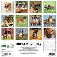 Just Boxer Puppies Wall 2025 Calendar