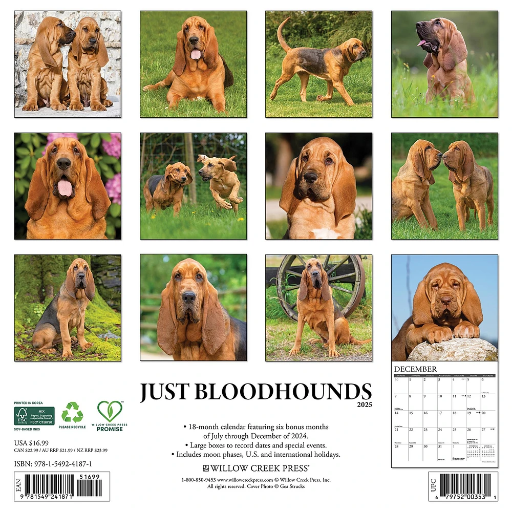 Just Bloodhounds Wall 2025 Calendar - Online Exclusive