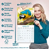 Macaws 2026 Wall Calendar