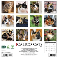 Just Calico Cats 2026 Wall Calendar