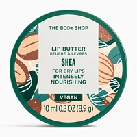 Shea Lip Butter